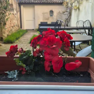 19 Borgo Cavour Nocleg ze śniadaniem